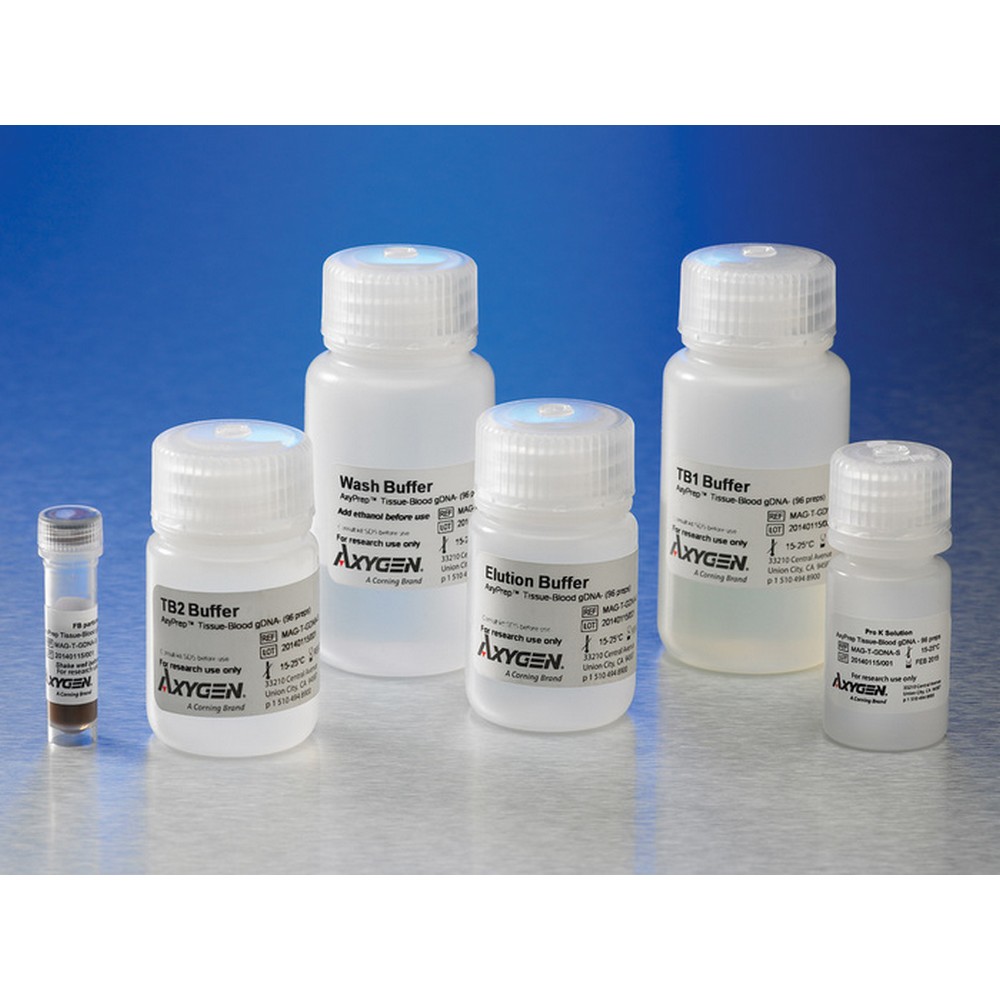 DNA Purification Kits